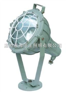cbt51or cbt51系列防爆無極投光燈 工廠防爆燈 智能制造網(wǎng)